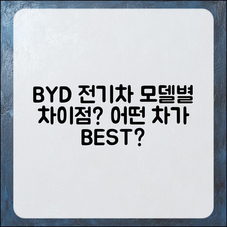 BYD 전기차 모델, 어떤 차이가 있을까요?