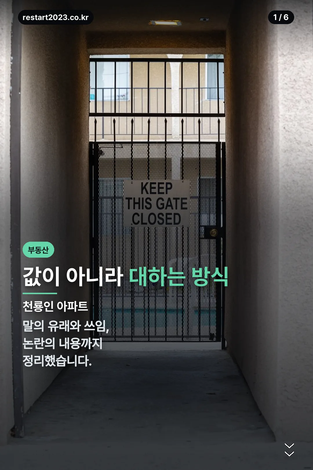 천룡인 아파트 표지