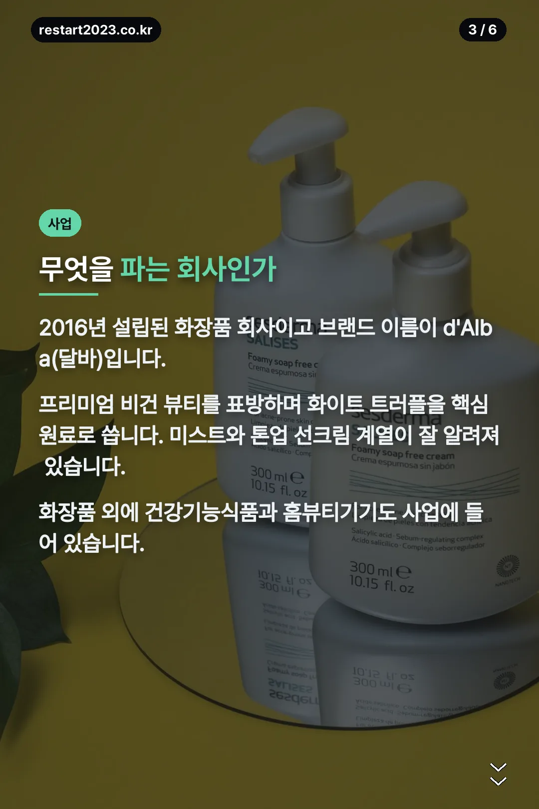 회사 사업 구조