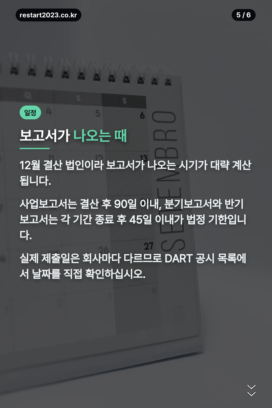 정기보고서 일정