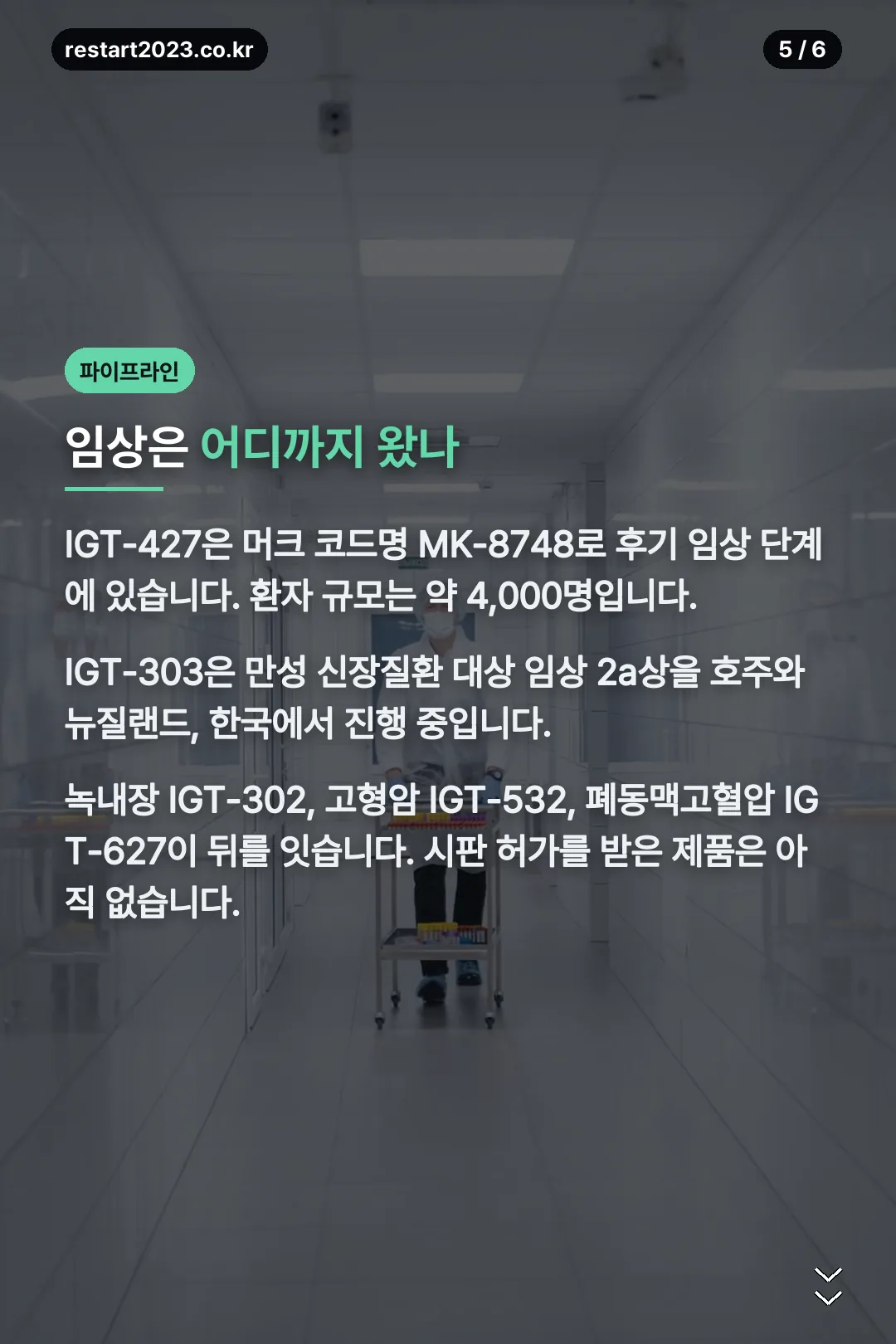 파이프라인 임상 단계