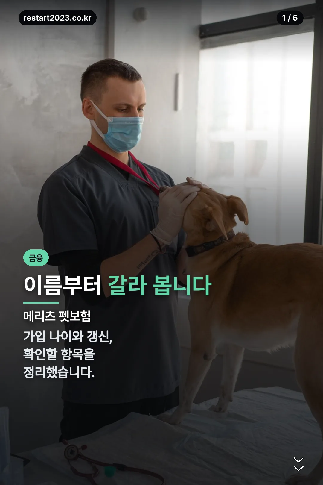 메리츠 펫보험 표지