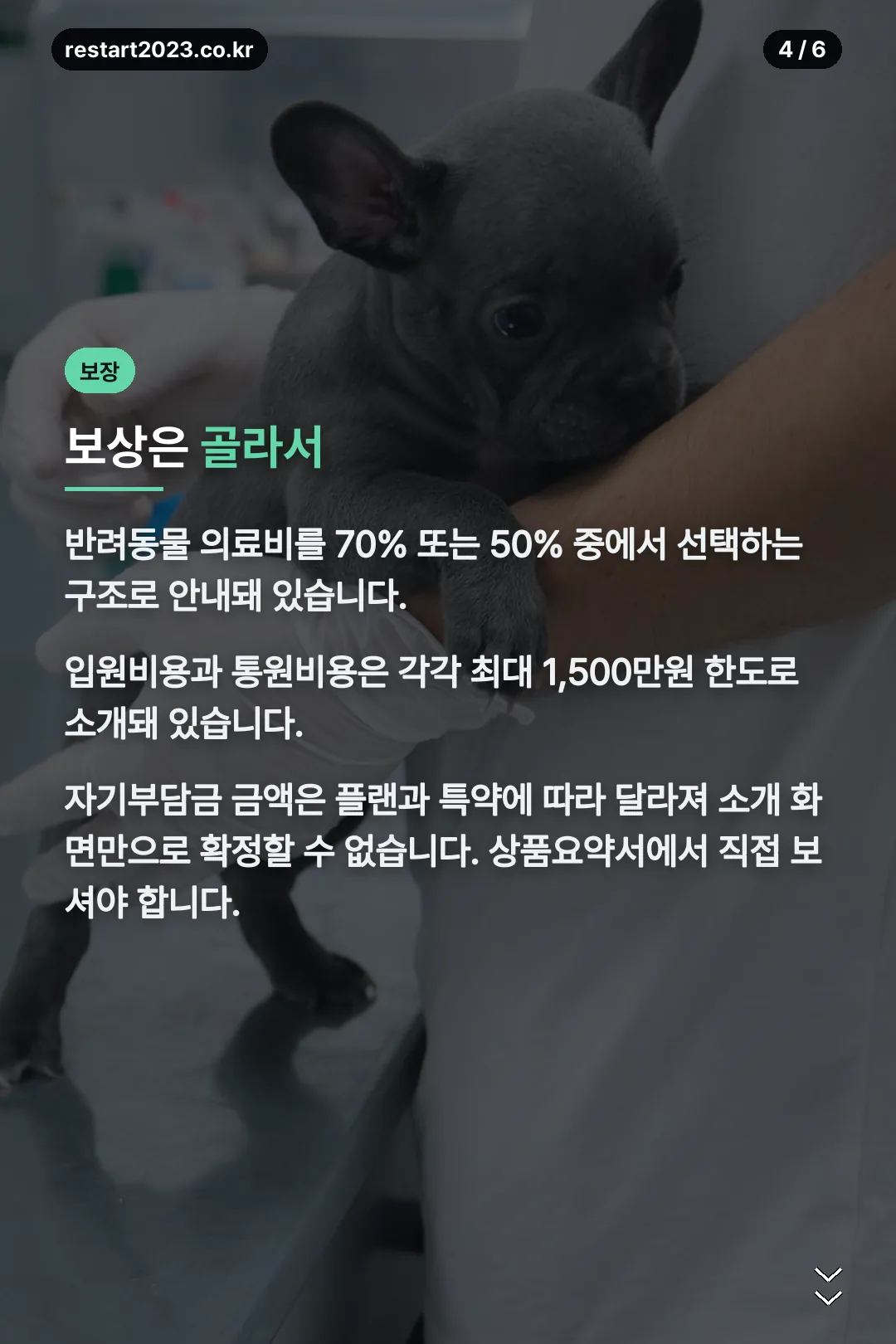 보상비율과 한도