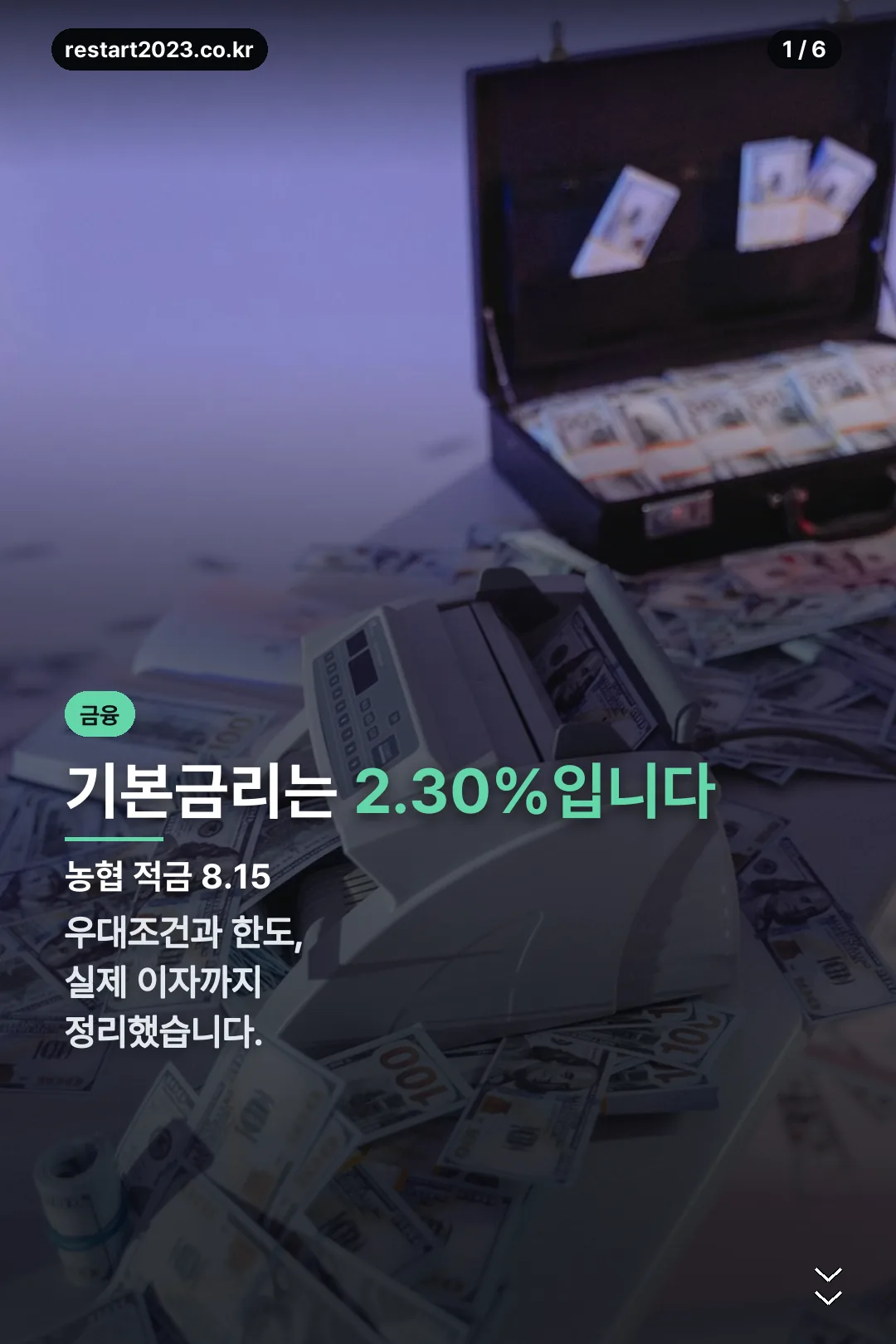 농협 적금 8.15 표지