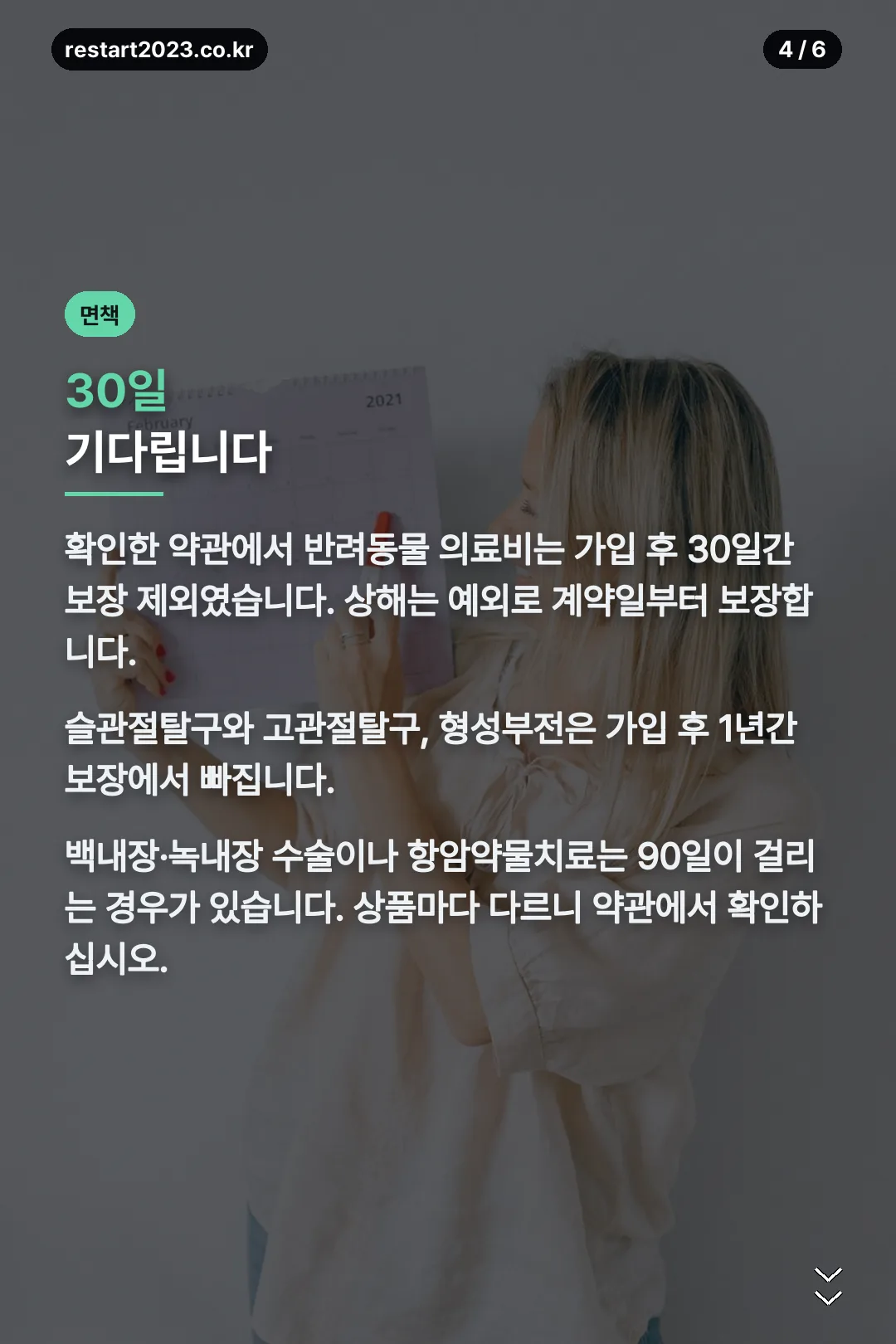 면책기간