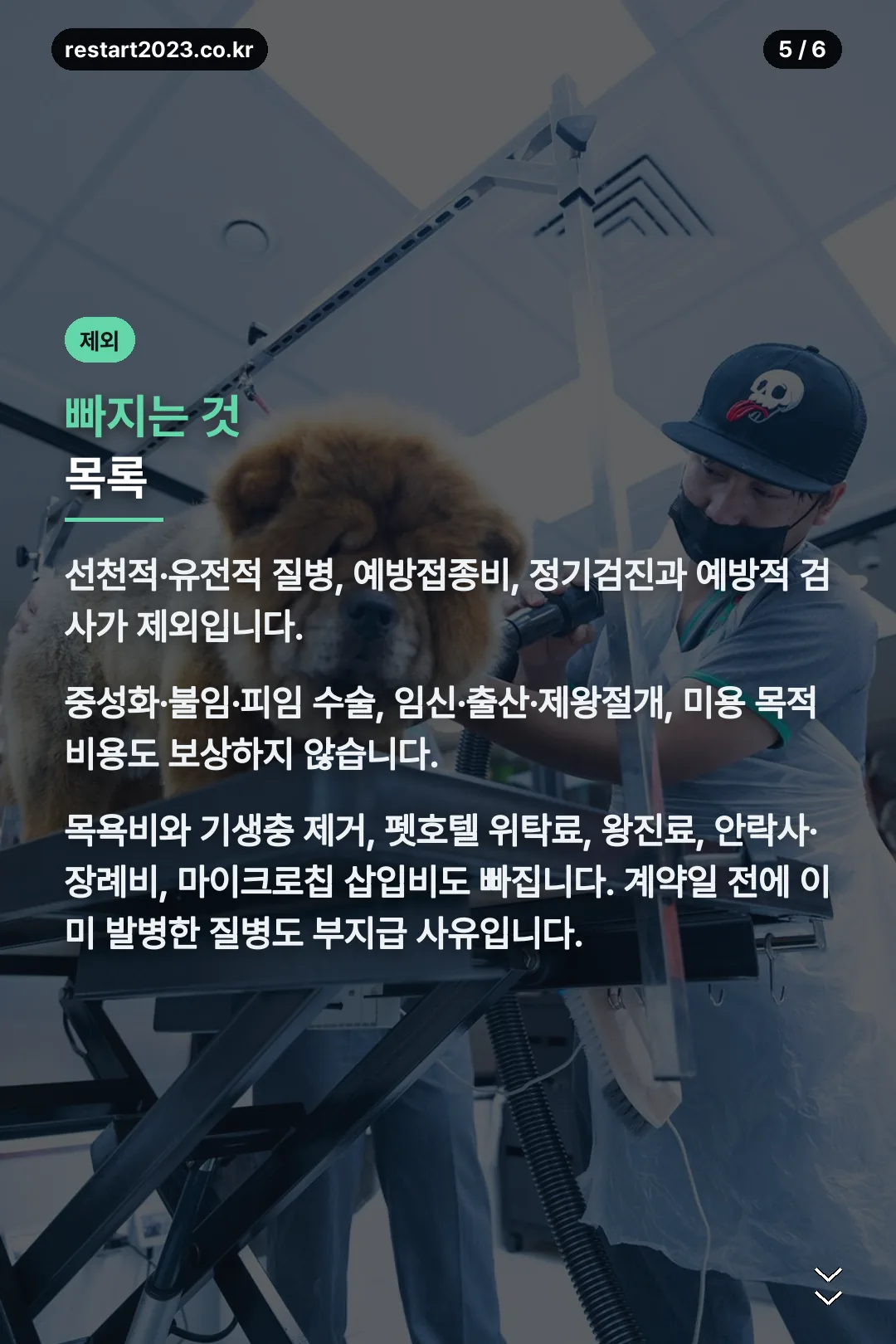 보장 제외 항목