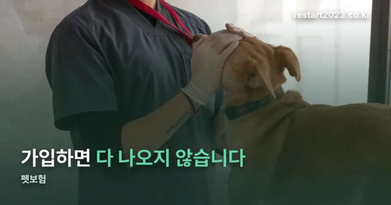 펫보험 — 가입 후 30일은 보장이 안 됩니다