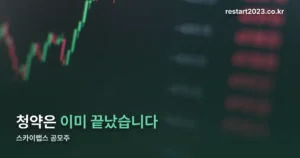 스카이랩스 공모주 정리 썸네일