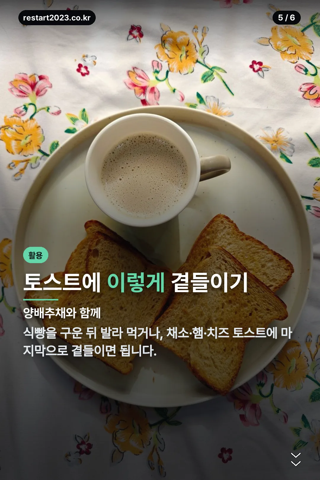 토스트 활용법