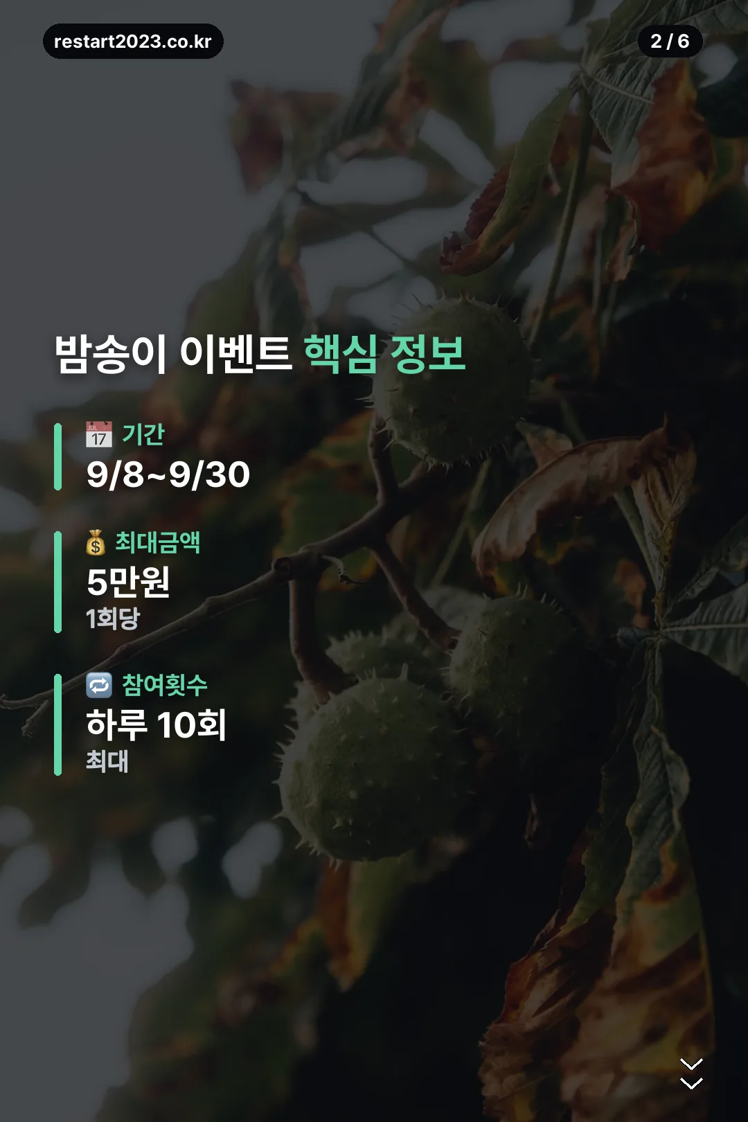 핵심 정보 한눈에