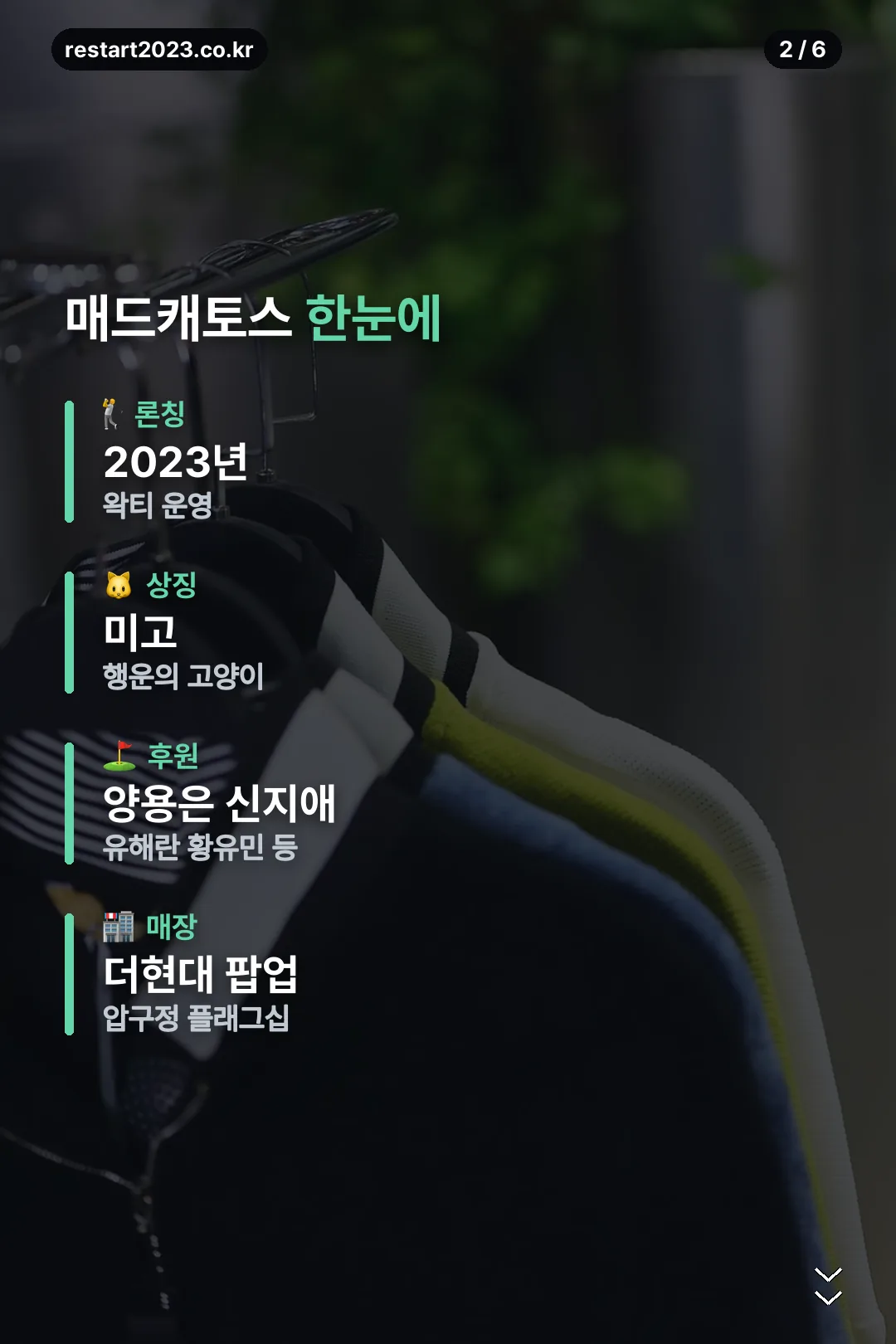 매드캐토스 한눈에