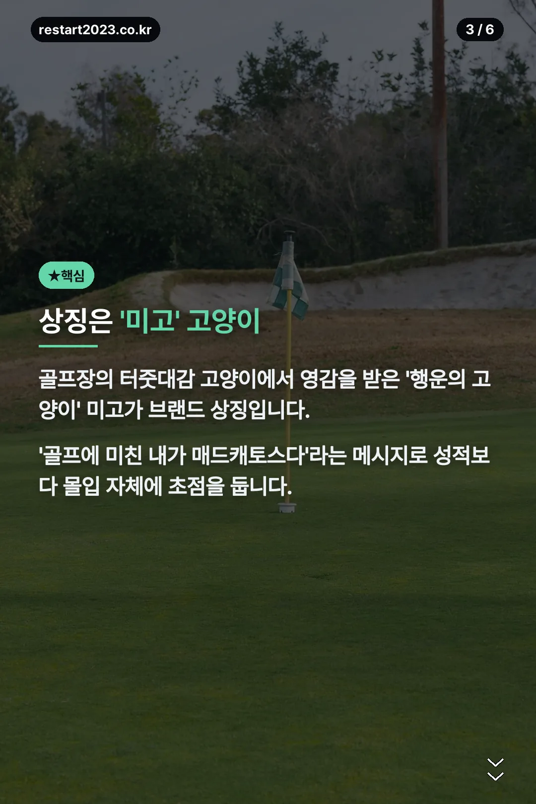상징은 미고 고양이
