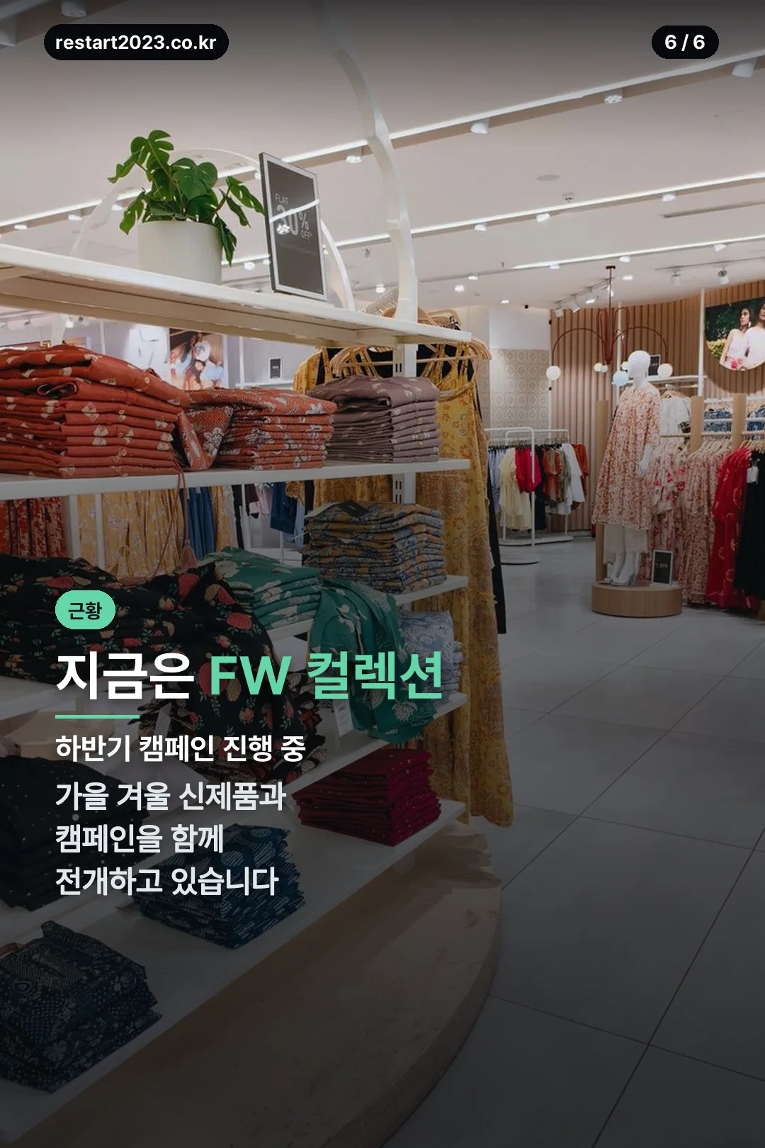 FW 컬렉션 근황