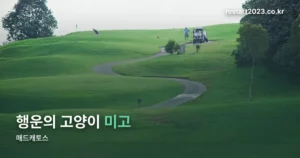 매드캐토스 정리 썸네일