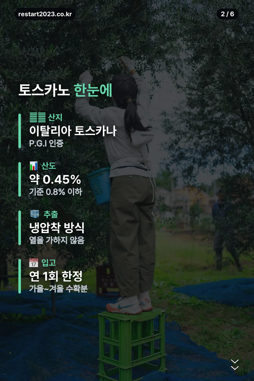 토스카노 정보 한눈에 보기